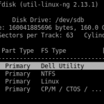 Partition Table on the New Disk