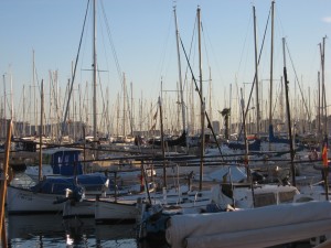 Yachts in Palma